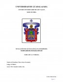 MANEJO DE ENFERMERÍA EN LOS PACIENTES ADULTOS CON DIÁLISIS PERITONEAL