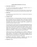 Uso correcto del microscopio óptico de campo claro, enfocando la letra “e” y respetando normas de bioseguridad entro del laboratorio.