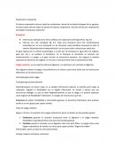 Respiratorio comparada