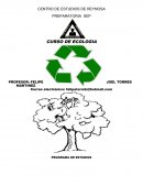 Avanes en la medicina.