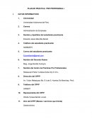 FORMATO DE PRACTICAS PRE PROFESIONALES