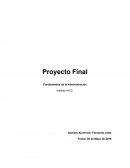 Proyecto final Fundamento Adm.