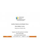 Análisis sistemático medio físico