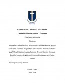 Laboratorio de bioquimica. Enzimas