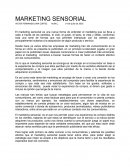 MARKETING SENSORIAL.