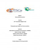 Presupuesto para Instalar una Cocina económica