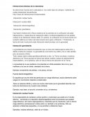 Interacciones básicas de la naturaleza