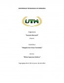 Derecho mercantil: Un informe sobre los fundamentos del código de comercio