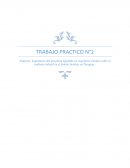 Aspectos dogmaticos del grooming legislado en Argentina y Maltrato infantil en Paraguay.