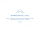 Aspectos dogmaticos del grooming legislado en Argentina y Maltrato infantil en Paraguay.