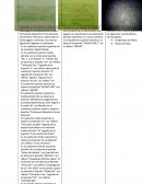 Descripción de un pagaré