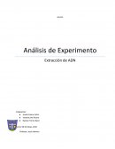 BIOLOGÍA Análisis de Experimento Extracción de ADN