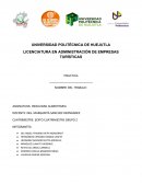 LICENCIATURA EN ADMINISTRACIÓN DE EMPRESAS TURÍSTICAS PRACTICA