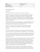 Analisis literario.La historia comienza un día martes, en un carnaval de Concordia.