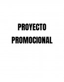 Proyecto y Trabajo Promocional.