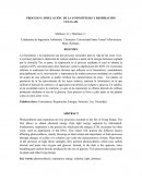 PROCESO Y SIMULACIÓN DE LA FOTOSÍNTESIS Y RESPIRACIÓN CELULAR.