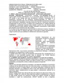 Clasificacion de los derechos humanos.