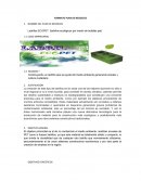 Tema- Construyendo un ladrillo para la ayuda del medio ambiente generando empleo y cultura ciudadana