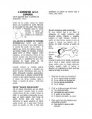 Ejercicios resueltos de fracciones