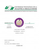 ELABORACIÓN DE REPORTE DE APLICACIÓN DE LAS 5 S