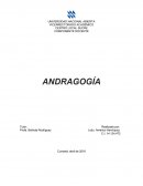 Enfoque andragogico.