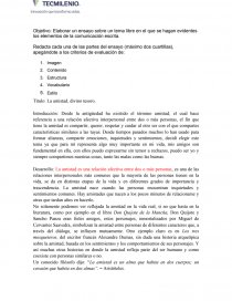 Elaborar un ensayo sobre un tema libre en el que se hagan evidentes los elementos de la comunicación escrita.. Página 1