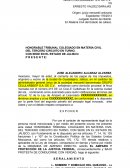 HONORABLE TRIBUNAL COLEGIADO EN MATERIA CIVIL.