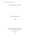 SER NATURAL, SER EN LA NATURALEZA