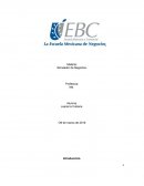 Simulador de negocios.