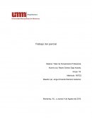 Taller de pensamiento profesional.