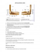 ARTICULACION DEL CODO.