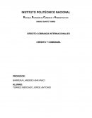 CREDITO COBRANZA INTERNACIONALES