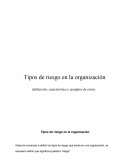 Tipos de riesgo en la organización