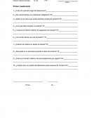 Cuestionarios educación física