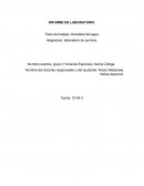 Título del trabajo: Densidad del agua.