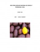 XXVI FERIA ESCOLAR NACIONAL DE CIENCIA Y TECNOLOGIA 2016.