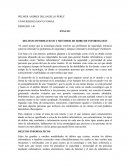 Delitos Informaticos y Metodos de Robo de Informacio.