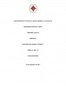 PENSAMIENTO POLÍTICO Y SOCIAL