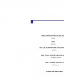 Evasión fiscal vs elusión fiscal y su impacto en el sistema recaudatorio