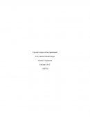 Tipos de riesgos en la organización.