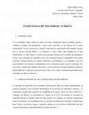 Estrategia de Seguridad Turca