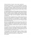 L Robo De Martillos en Transmetro: “algo tan simple e insignificante”