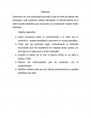 Proyecto de Investigación acción-Grupo2.