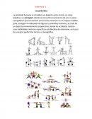 Informe N° 1 Las pirámides