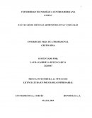 UN INFORME DE PRÁCTICA PROFESIONAL.