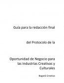Redacción del Protocolo de la Oportunidad de Negocio.