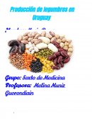 Producción de legumbres en Uruguay.