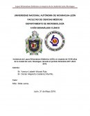 Incidencia de Lupus Eritomatoso Sistémico (LES).