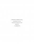 Identificando las modalidades de Integra