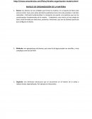 NIVELES DE ORGANIZACIÓN DE LA MATERIA.